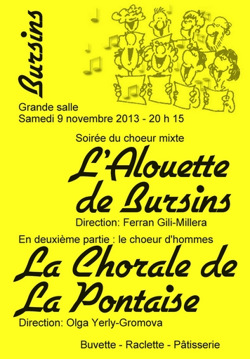 Affiche soirée novembre 2013